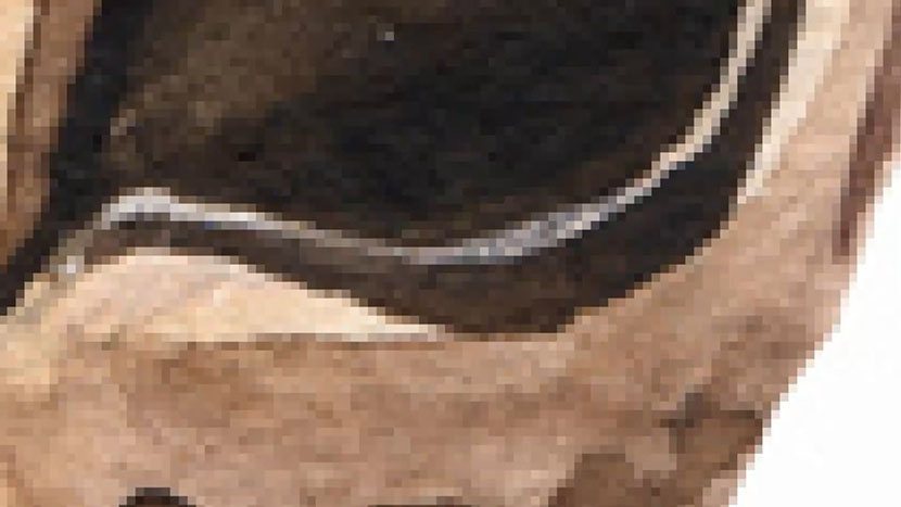 Close-up of a raster image with large pixels visible.