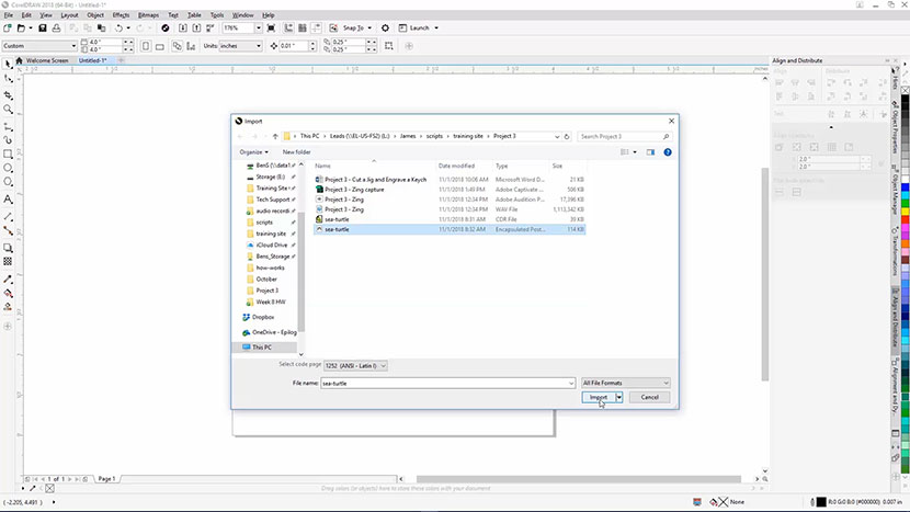 The Import dialog in CorelDRAW.